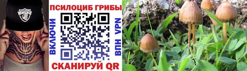 Псилоцибиновые грибы мухоморы  сколько стоит  Яблоновский 