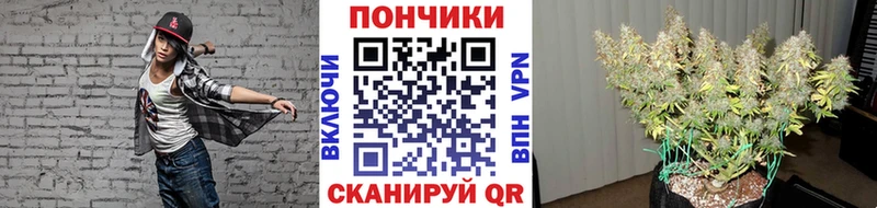 купить наркотик  Яблоновский  Каннабис SATIVA & INDICA 